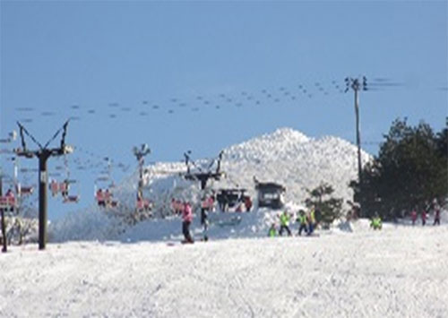 蔵王猿倉スキー場のイメージ画像（クリックで拡大）