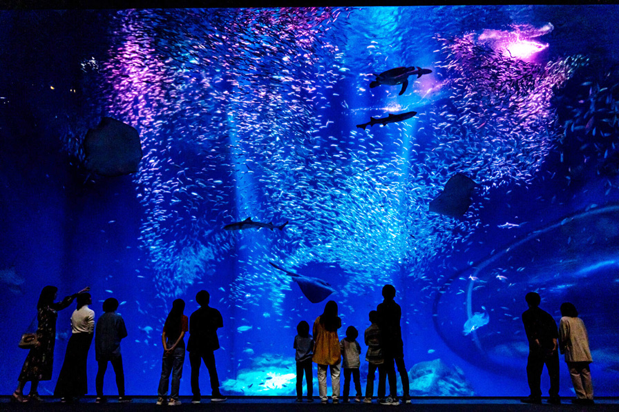 アクアワールド茨城県大洗水族館