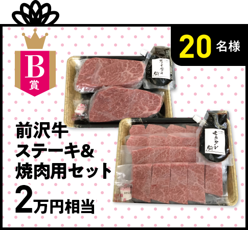 B賞 前沢牛ステーキ＆焼肉用セット 2万円相当 20名様
