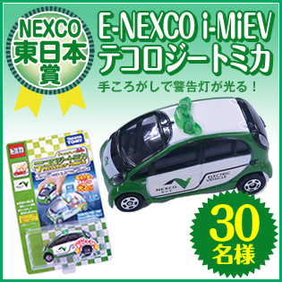 ネクスコ東日本賞 E-NEXCO i-MiEV テコロジートミカ