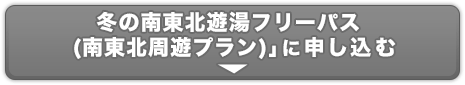 冬の南東北遊湯フリーパス（南東北周遊プラン）のお申し込み