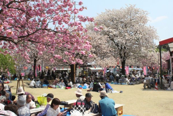 天平の花祭り.jpgのサムネール画像のサムネール画像