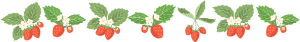 flower_16.png