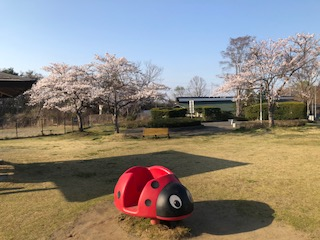 下り線・桜②.png