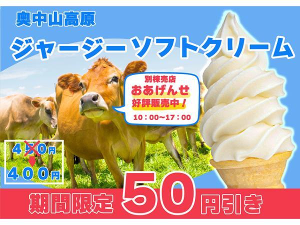 メールサイズソフト５０円引き のコピー.jpg