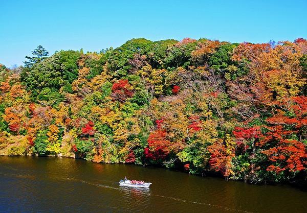 亀山湖の紅葉.jpg