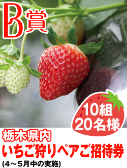 栃木県内いちご狩りペアご招待券(4～5月中の実施)