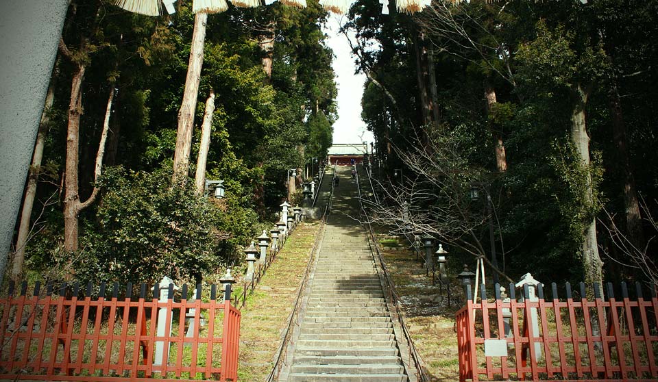 ドラぷら 未知の細道 １８０年の難問に挑め 塩釜神社の 算額 に残された江戸時代の挑戦状