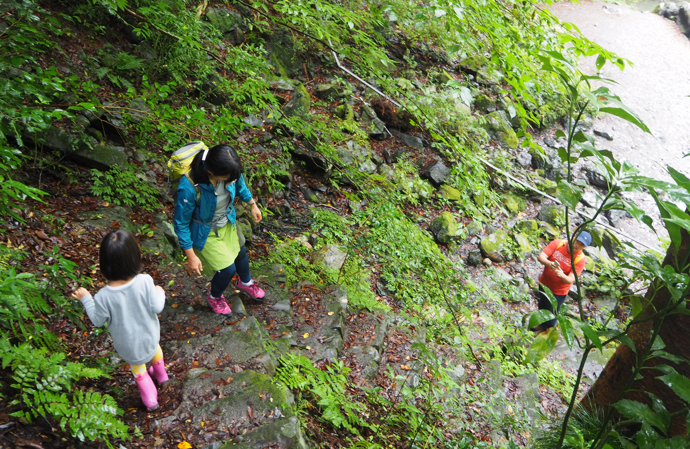 旅の思い出 編 雨の奥多摩も悪くない ５歳 はじめての山道をいく ドラぷら