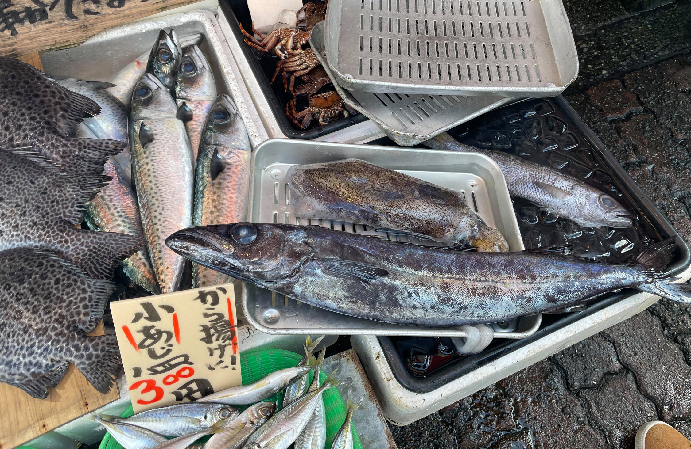 あなたもきっと解放感に心を奪われる 三浦半島トゥクトゥク旅 ドラぷら