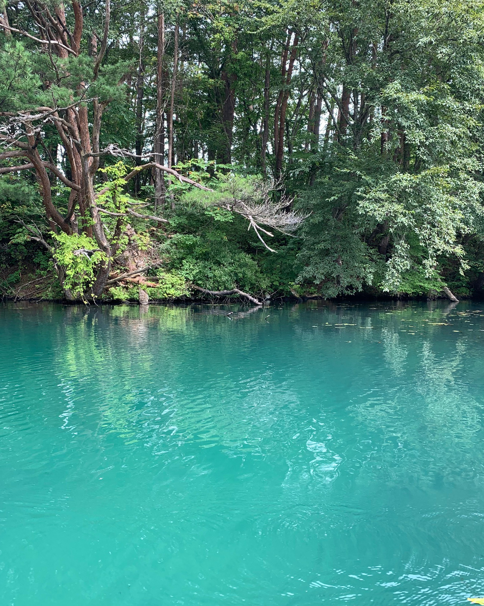 みずうみアソビのススメ 湖で泳ぐ 沼を歩く ドラぷら