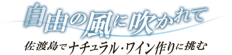 自由の風に吹かれて　佐渡島でナチュラル・ワイン作りに挑む