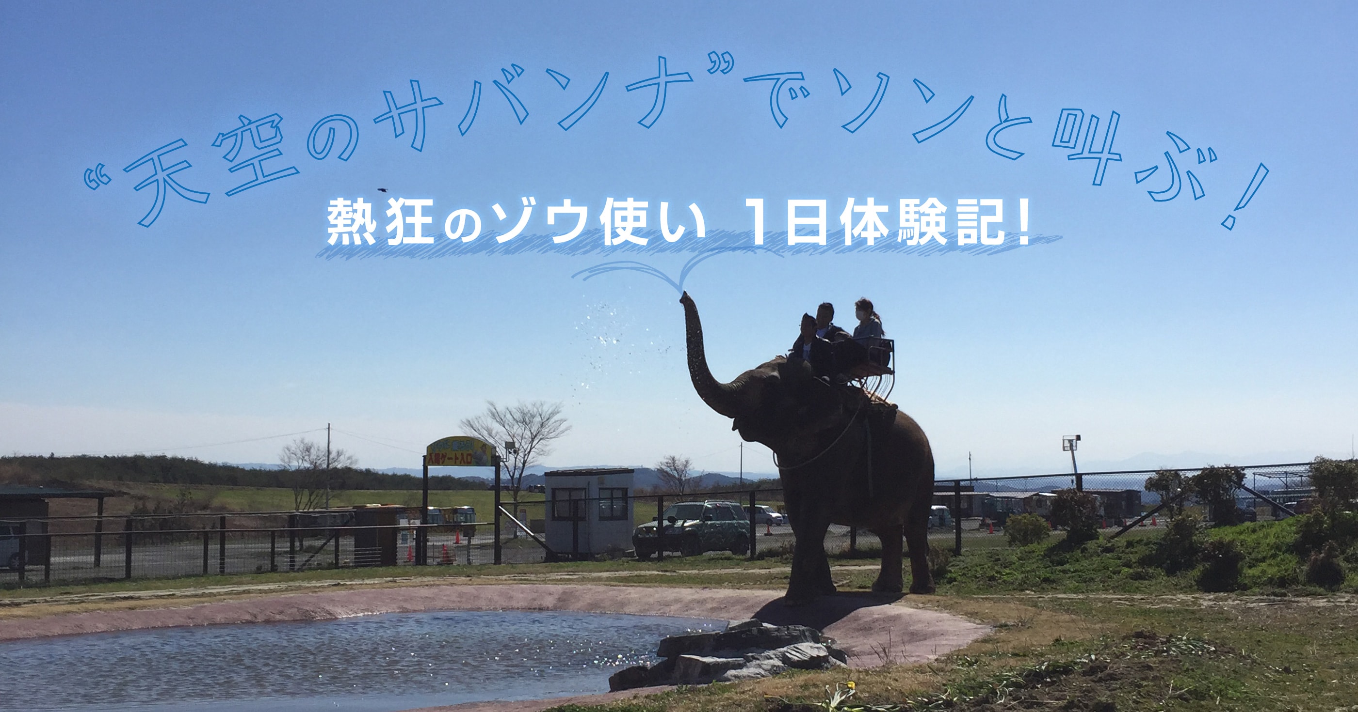 天空のサバンナ でソンと叫ぶ 熱狂のゾウ使い1日体験記 未知の細道 ドラぷら